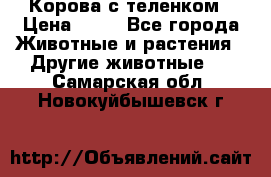 Корова с теленком › Цена ­ 69 - Все города Животные и растения » Другие животные   . Самарская обл.,Новокуйбышевск г.